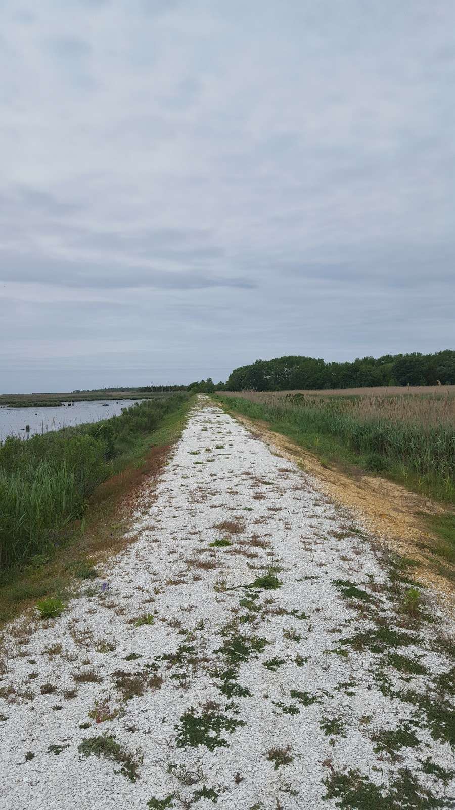 Commercial Township Wetlands Restoration Site | 75°0211.5"W, 391401 1st Ave, Callahan, FL 32011, USA