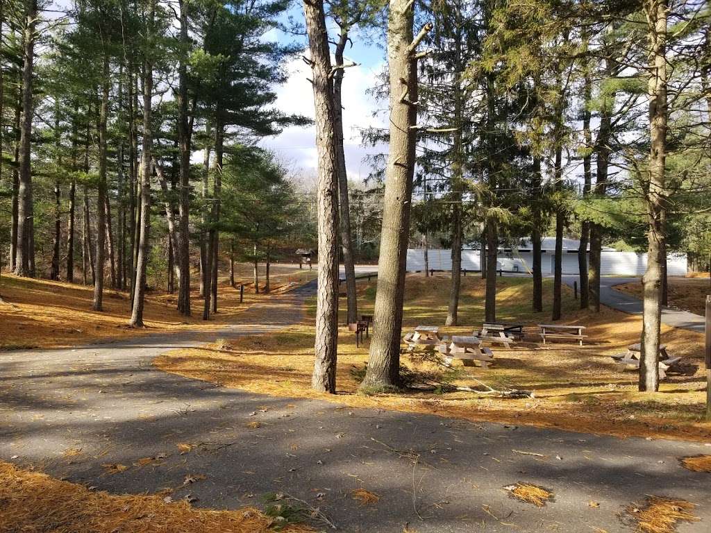 Myles Standish State Forest | 194 Cranberry Rd, Carver, MA 02330, USA | Phone: (508) 866-2526