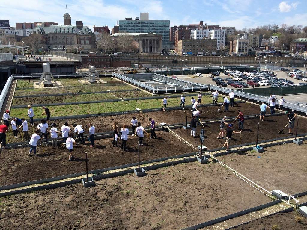 The Living Roof | 1 Ferry Terminal Viaduct, Staten Island, NY 10301, USA | Phone: (347) 915-4114