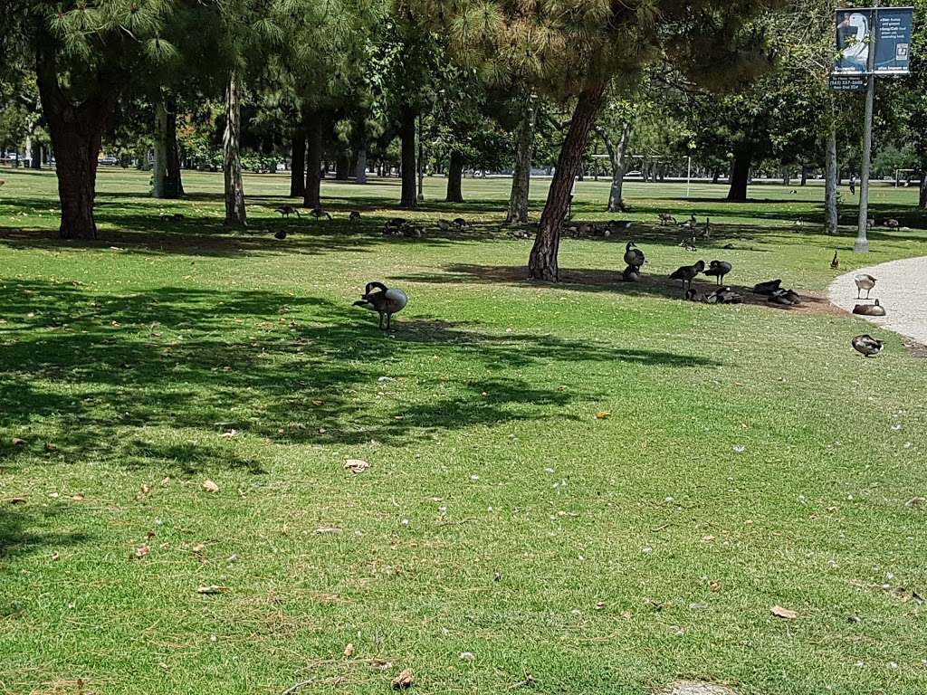 El Dorado Park East Duck Pond | 2560, 2400 N Studebaker Rd, Long Beach, CA 90815, USA