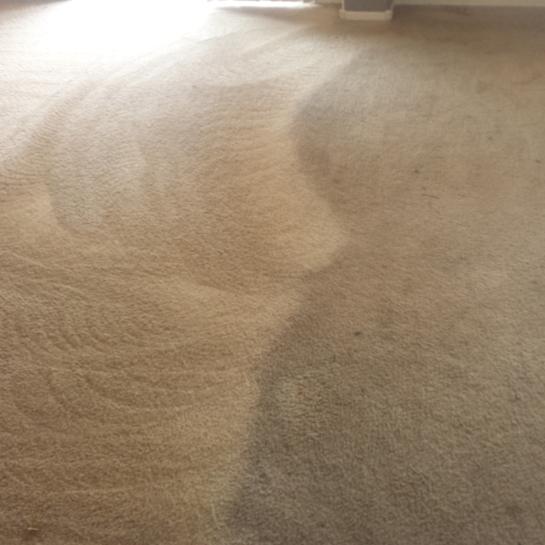 Sal Trevinos Carpet Cleaning Service | 10700 N 85th Ave # 926, Peoria, AZ 85345, USA | Phone: (623) 486-4000