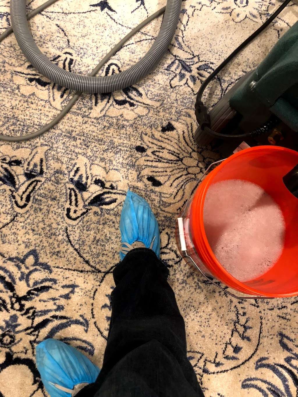 Citrus A Peel Carpet Cleaning | 8 Lloyd Pl, Oakhurst, NJ 07755, USA | Phone: (732) 268-0258