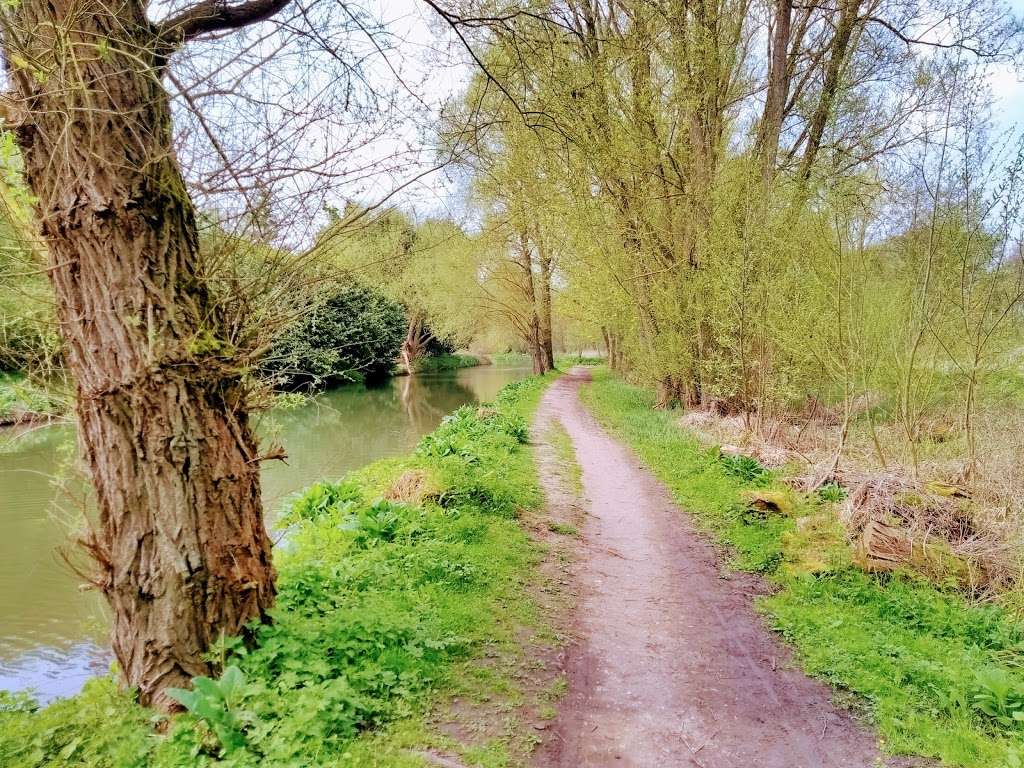 Rushy Mead Nature Reserve | Bishops Stortford CM22 7QJ, UK