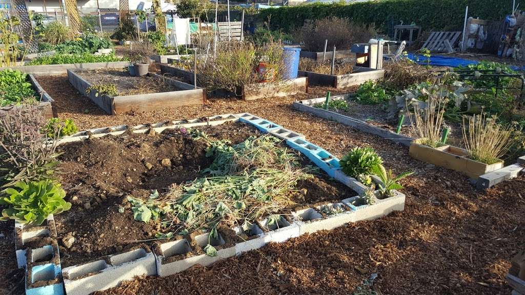 Mt Hope Community Garden | 4261 Market St, San Diego, CA 92102, USA | Phone: (619) 262-2022