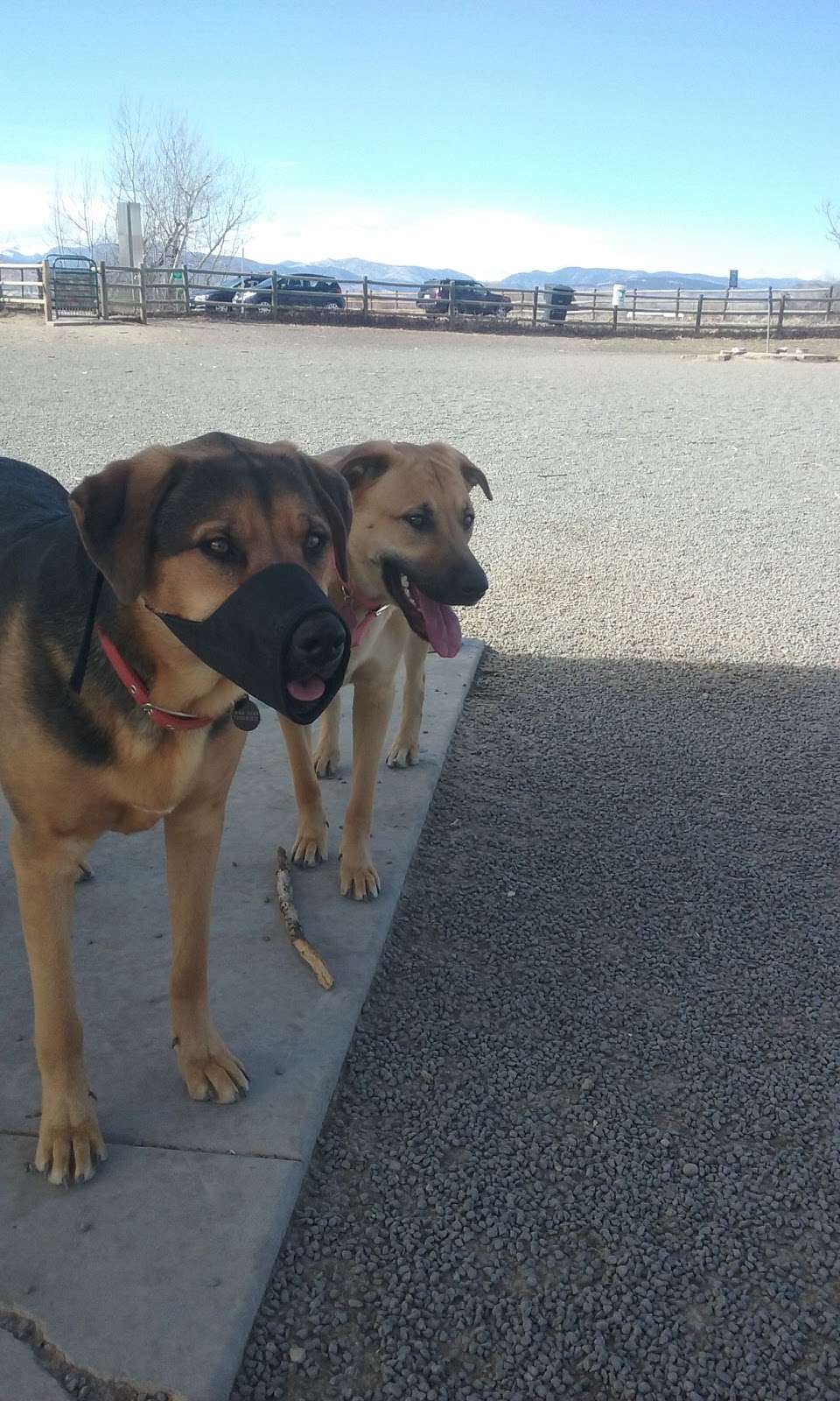 City of Longmont Dog Park #2 | Airport Rd & St Vrain Rd, Longmont, CO 80503, USA | Phone: (303) 651-8416