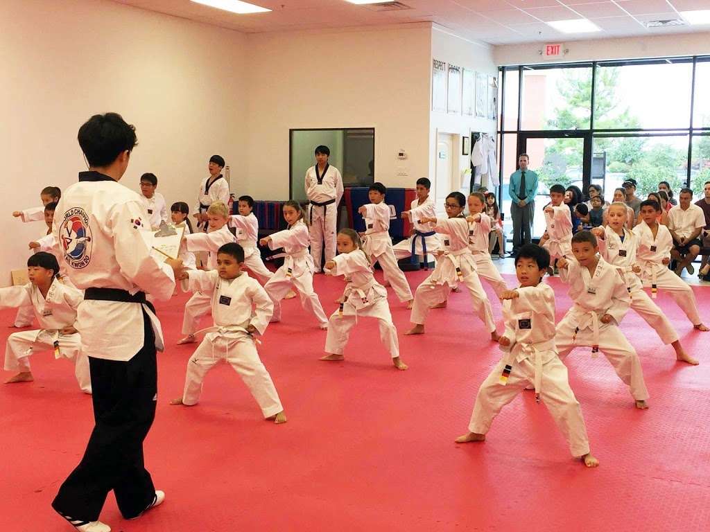 Master Lees World Champion Tae Kwon Do Firethorne | 2780 FM 1463 #204, Katy, TX 77494 | Phone: (832) 437-2898