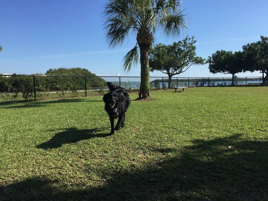 Eckerd College Pet Park | 4200 54th Ave S, St. Petersburg, FL 33711 | Phone: (727) 864-7538