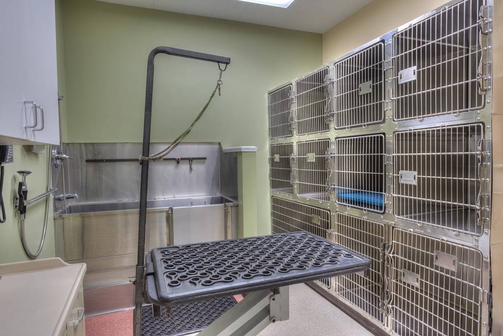 VCA Murrayhill Veterinary Hospital | 14831 SW Teal Blvd, Beaverton, OR 97007, USA | Phone: (503) 579-3300