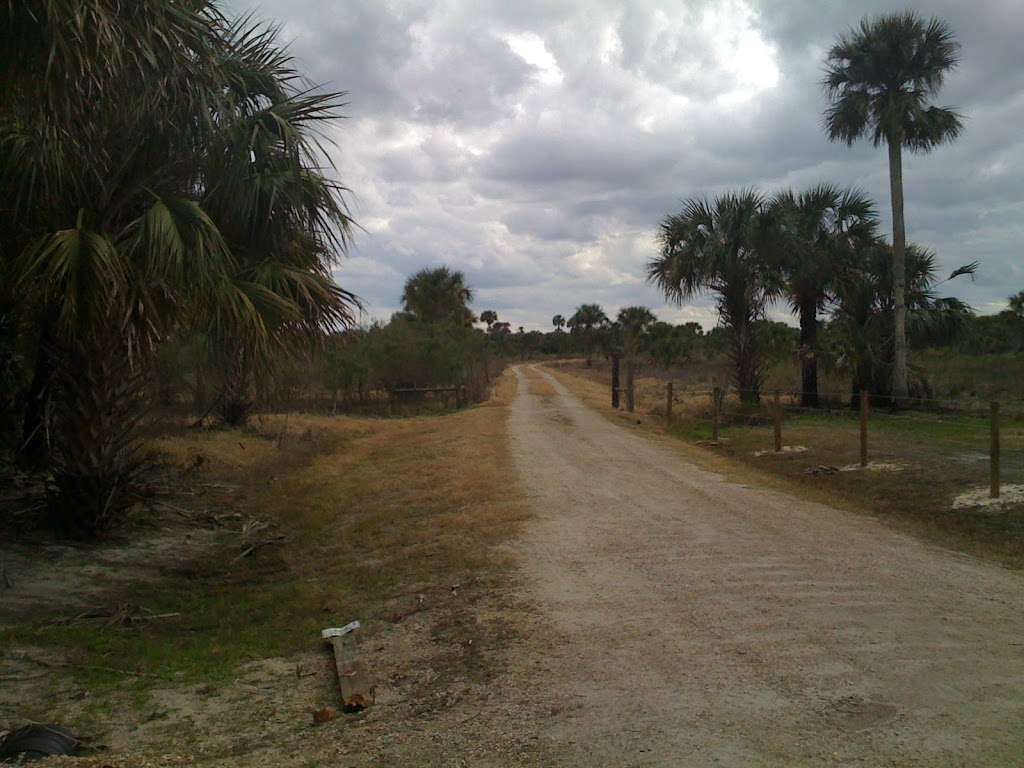 Little Big Econ State Park | Titusville Rd, Geneva, FL 32732, USA