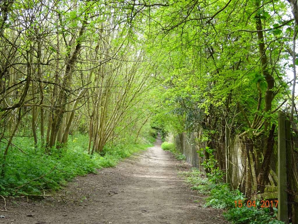 Selsdon Wood Nature Reserve | South Croydon, Croydon CR0 9HU, UK | Phone: 020 8726 6900