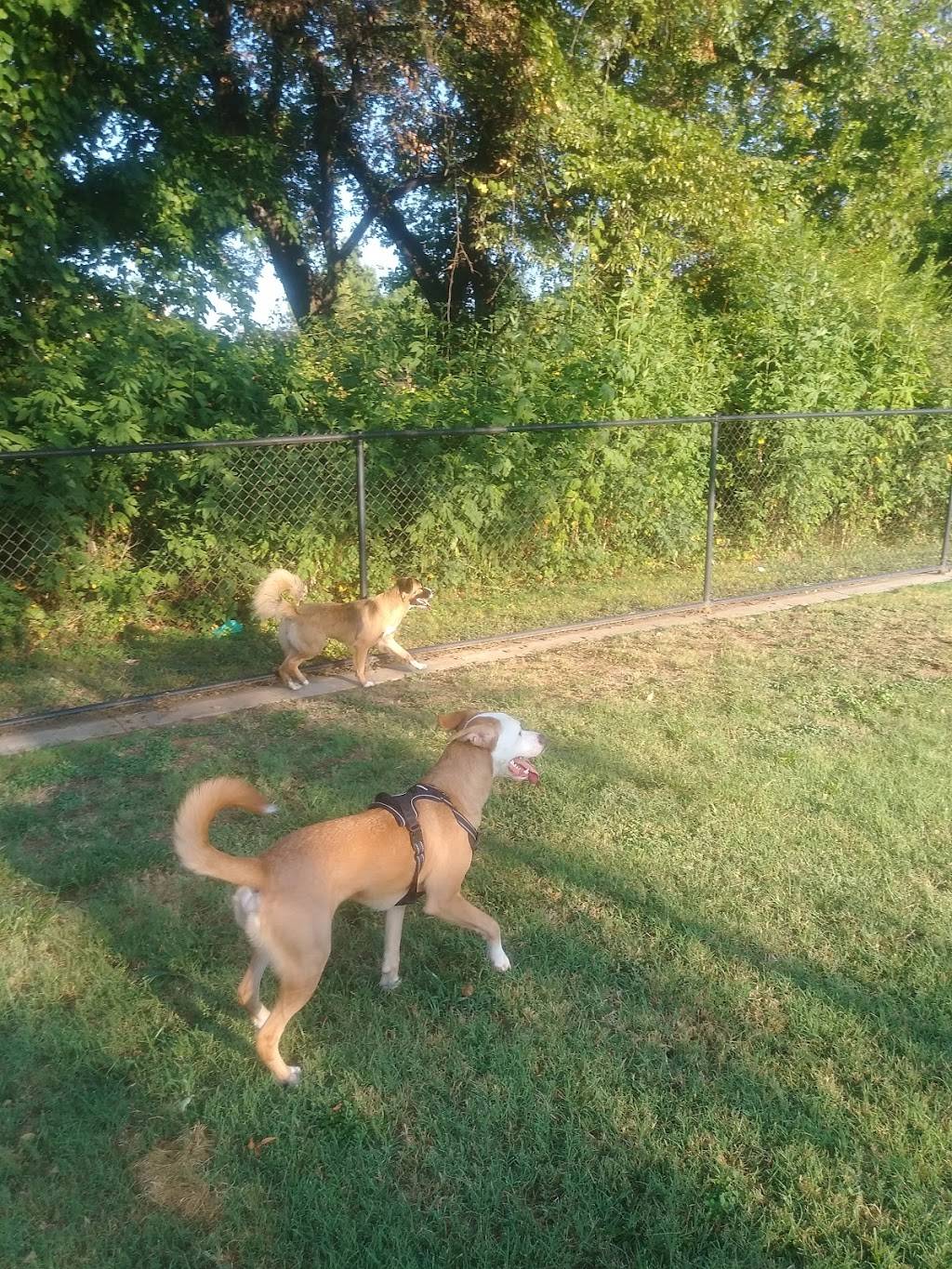 Euless Dog Park | 40621944, Euless, TX 76039