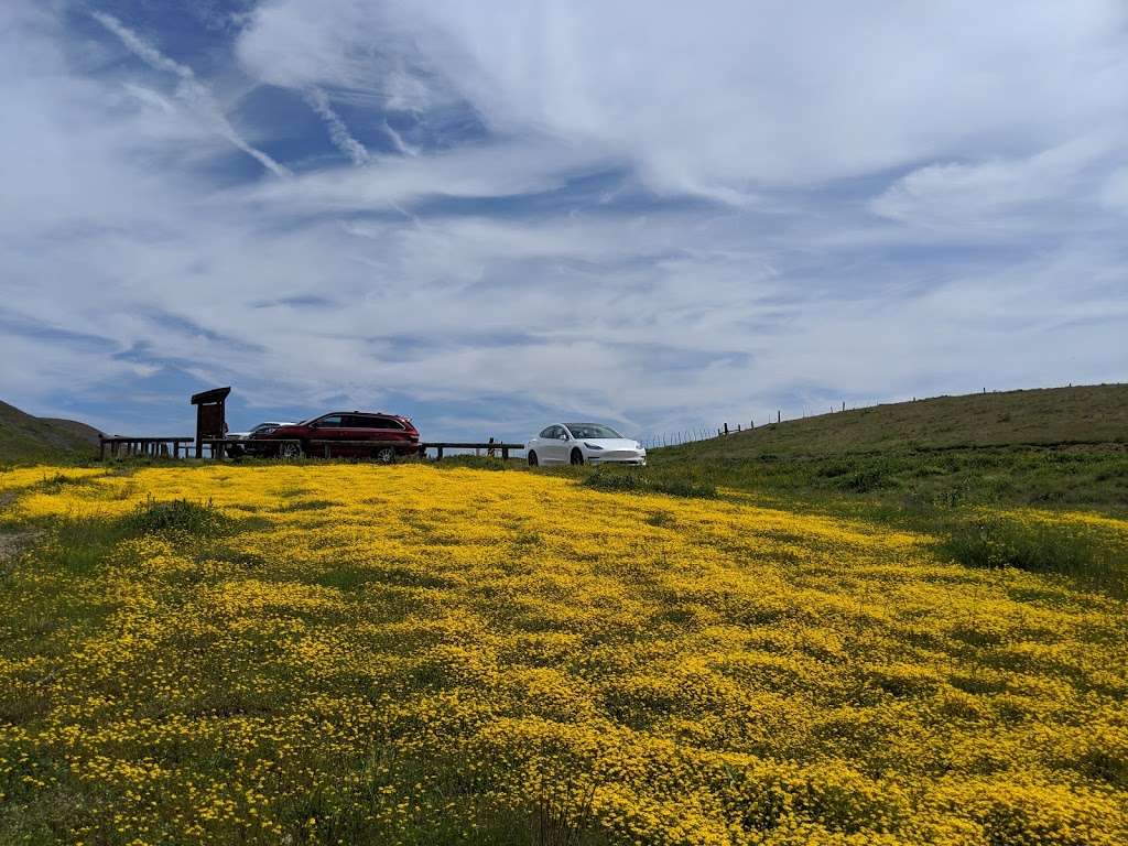 Carrizo Plain National Monument | Soda Lake Rd, Maricopa, CA 93252, USA