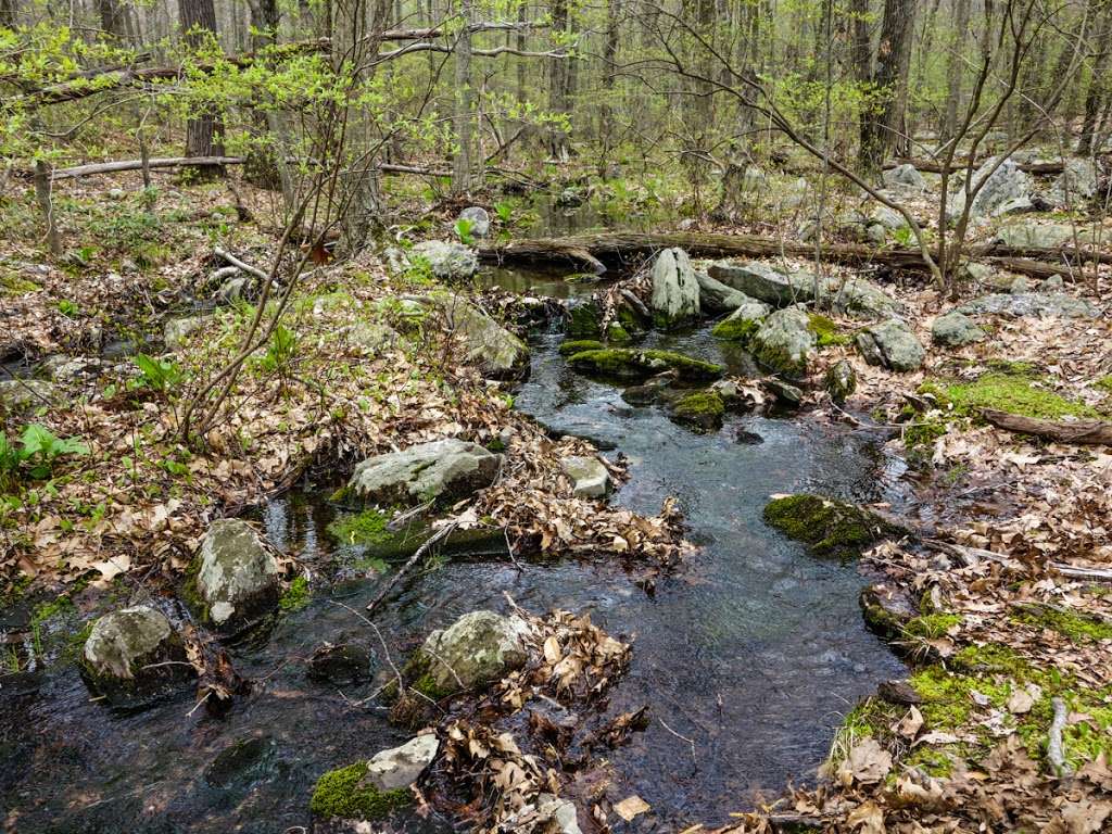 Appalachian Trail | Hewitt, NJ 07421