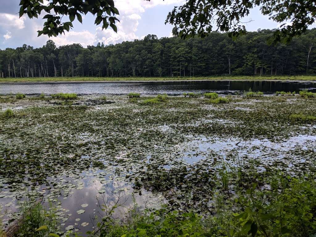 Bennetts Pond State Park | 550-698 Bennetts Farm Rd, Ridgefield, CT 06877, USA