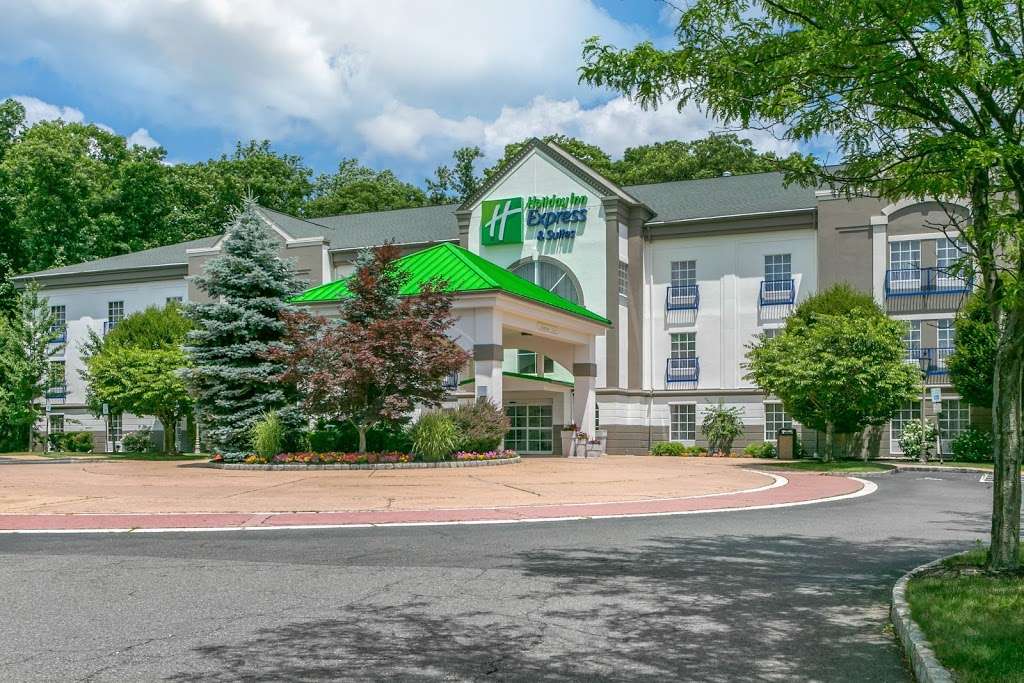 Holiday Inn Express & Suites Mount Arlington-Rockaway Area | 176 Howard Blvd, Mt Arlington, NJ 07856, USA | Phone: (973) 770-7880