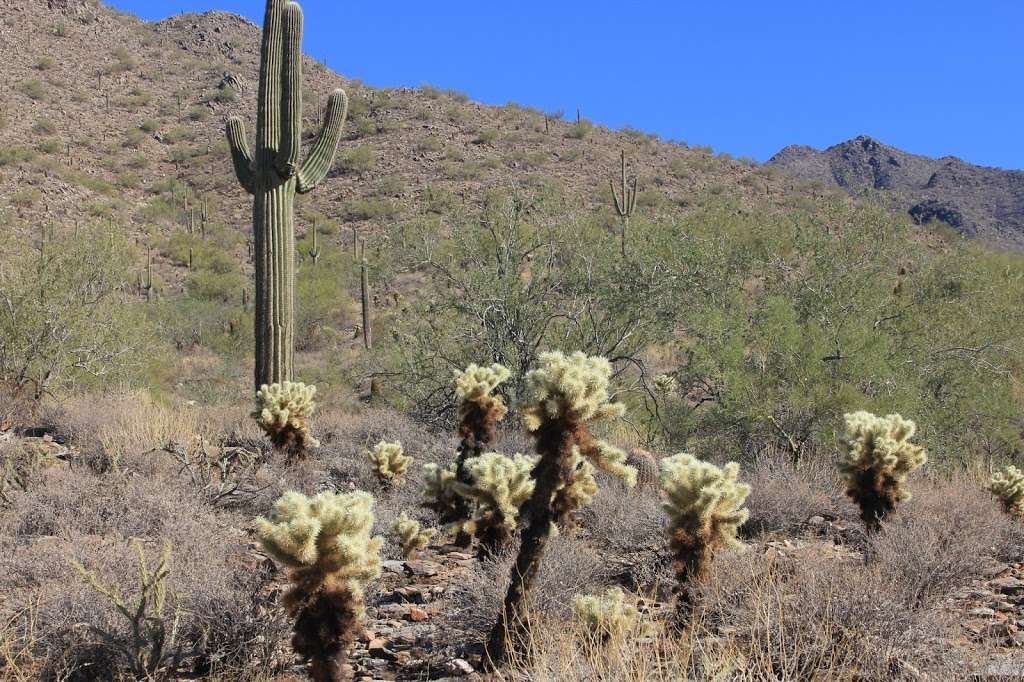 Gateway Trailhead - McDowell Sonoran Preserve | 18333 N Thompson Peak Pkwy, Scottsdale, AZ 85255, USA | Phone: (480) 998-7971