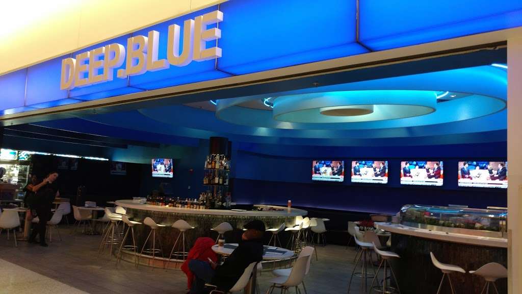 Deep Blue on the Fly | Terminal 5, Jamaica, NY 11430, USA | Phone: (866) 508-3558