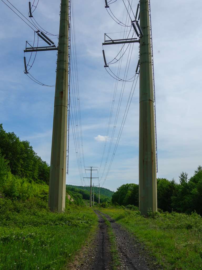 Shawangunk Ridge Trail - Otisville to Guymard Tpk | Unnamed Road, Otisville, NY 10963, USA