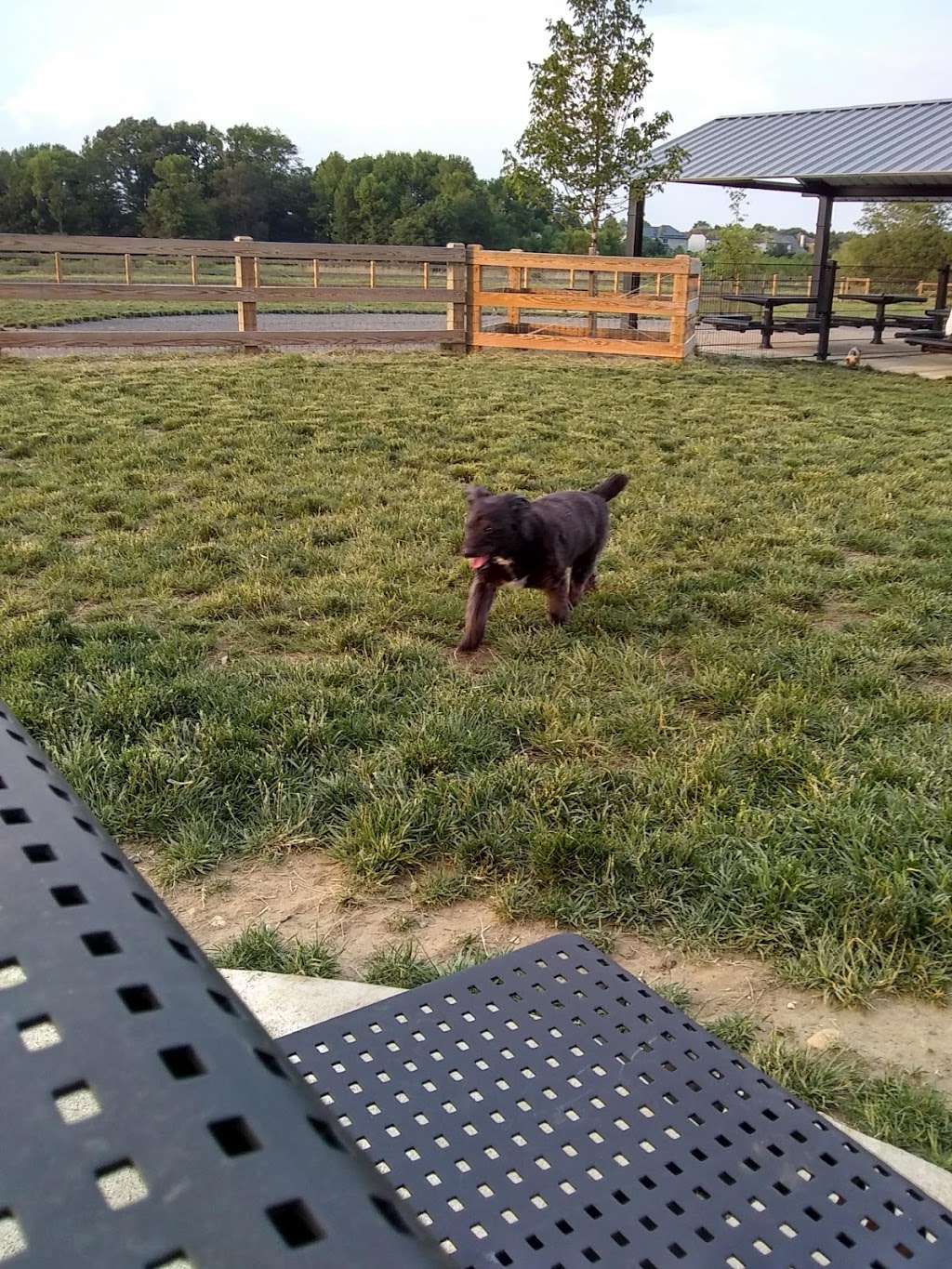 Swedes Run Dog Park | 735 Westfield Rd, Moorestown, NJ 08057, USA