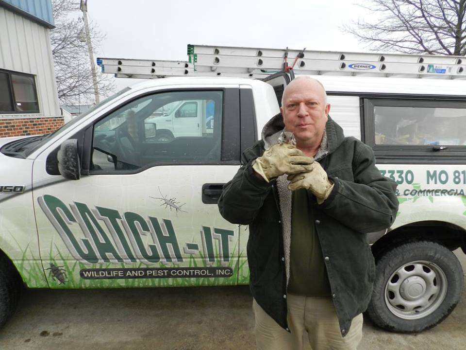 Catch It Wildlife Pest Control Inc 11230 E State Rte 350 Raytown Mo 64138 Usa