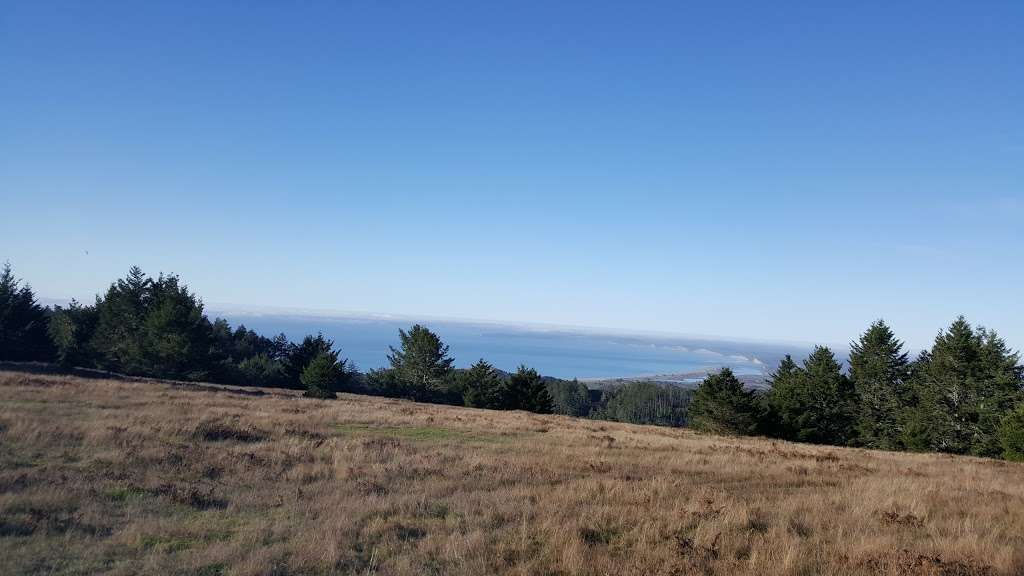 Mount Wittenberg Peak | Point Reyes Station, CA 94956, USA