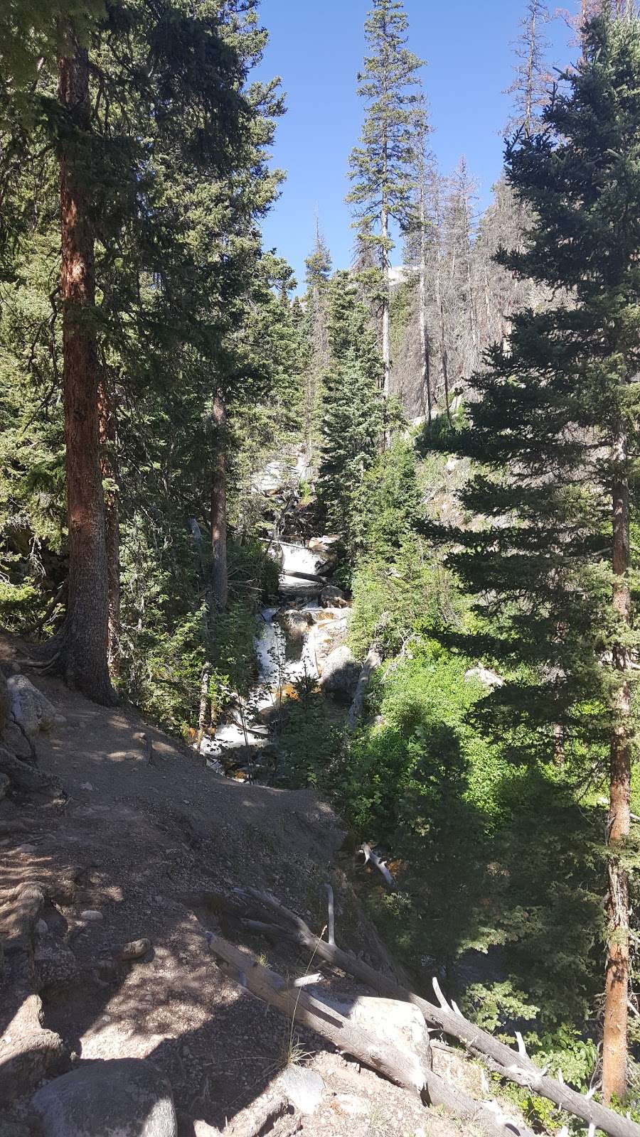 Old Forest Inn | Estes Park, CO 80517, USA