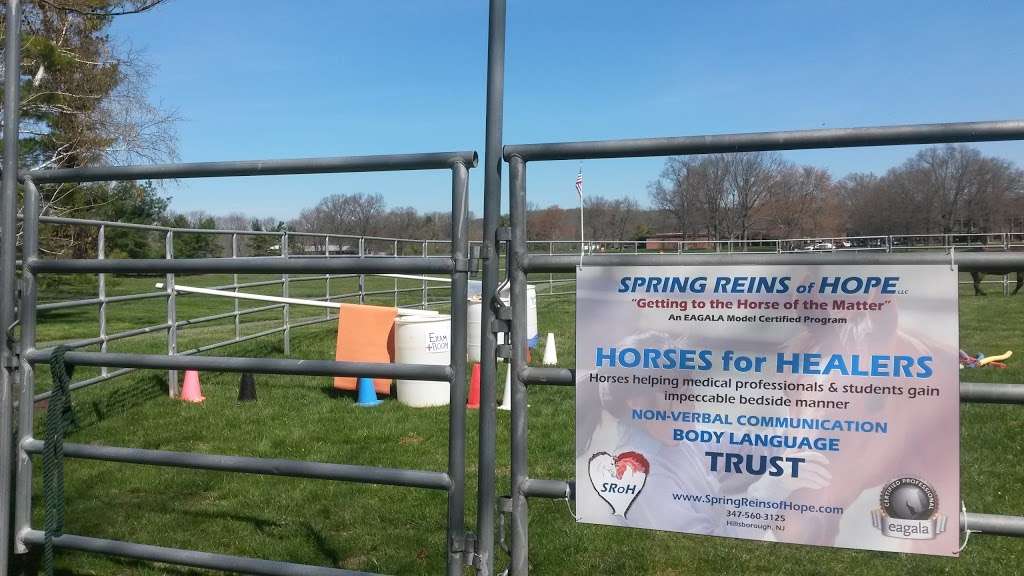 SPRING REINS of HOPE LLC (Getting to the Horse of the Matter) | c/o: Hunt Cap Farms, 401 Main St, Three Bridges, NJ 08887, USA | Phone: (347) 560-3125