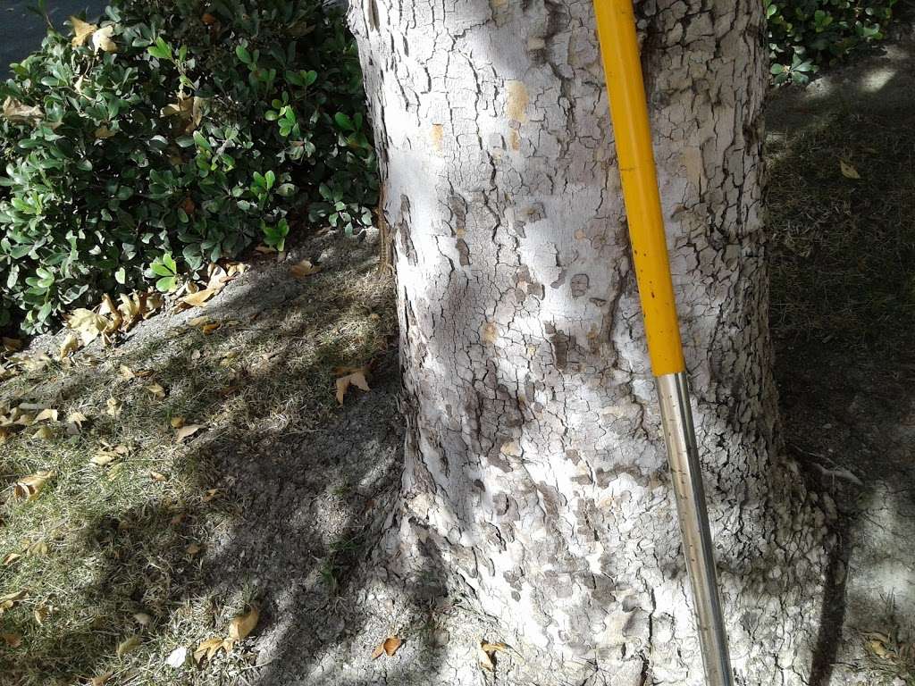 Gallup Fire Protection | 1 Capistrano Vly Rate Ctr, Mission Viejo, CA 92694, USA | Phone: (949) 363-7363