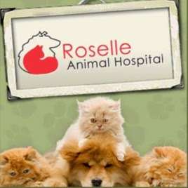 Roselle Animal Hospital | 25W571 Lake St, Roselle, IL 60172, USA | Phone: (630) 307-2200