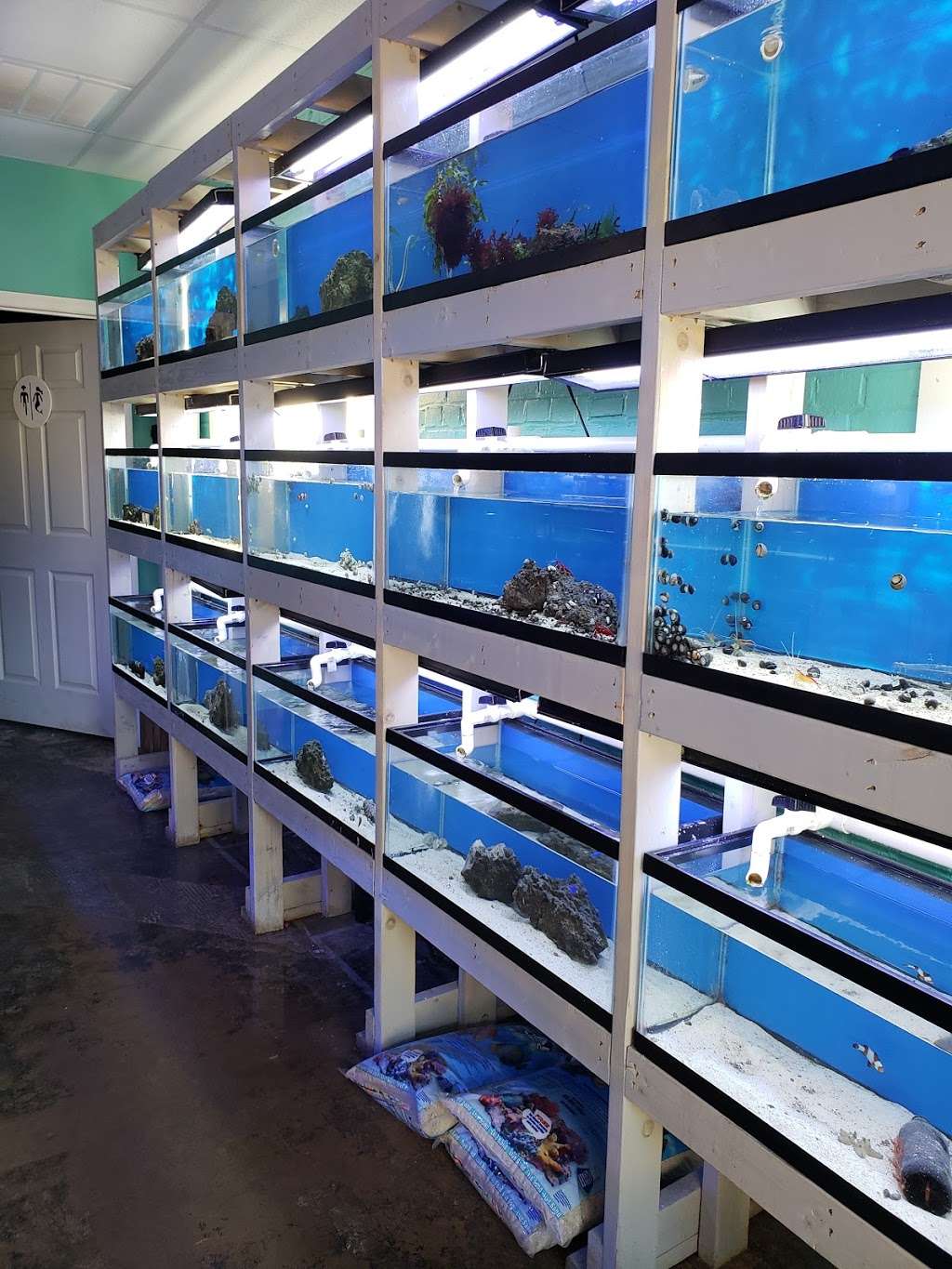 Fintastic Aquariums of Frederick | 1713 Rosemont Ave Suite C, Frederick, MD 21702, USA | Phone: (240) 815-6530