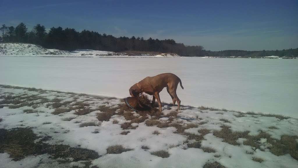 Cranberry Bogs | Carver, MA 02330, USA