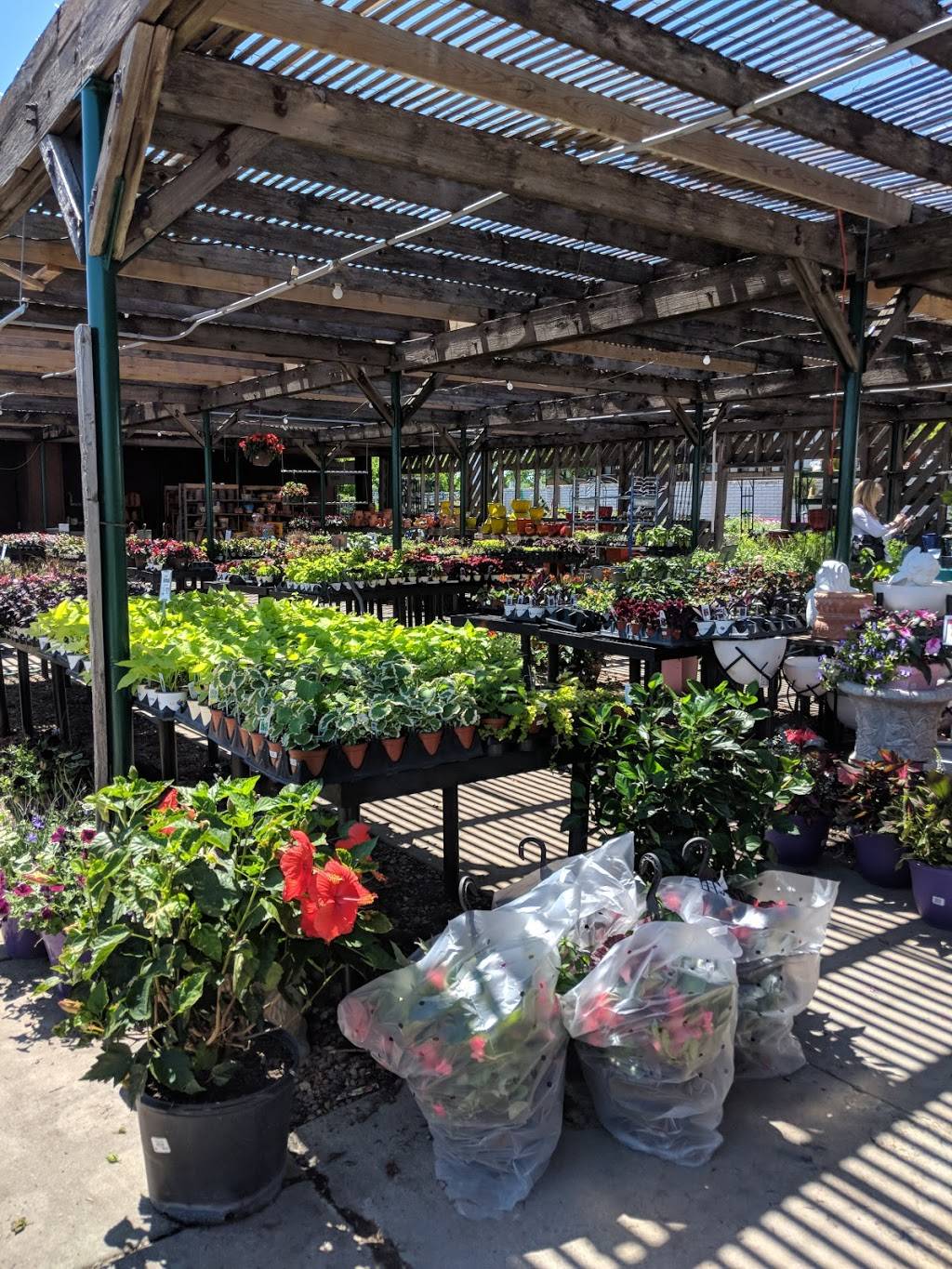 Johnsons Garden Center - East | 6225 E Shadybrook St, Wichita, KS 67208, USA | Phone: (316) 687-5451