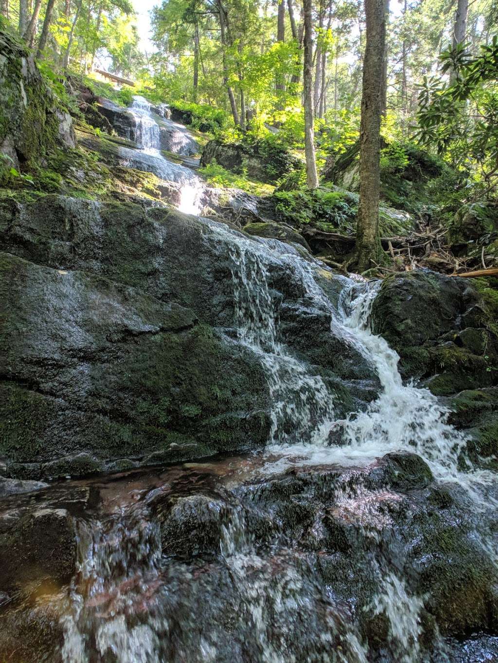 Buttermilk falls parking Mountain Rd, Layton, NJ 07851, USA BusinessYab