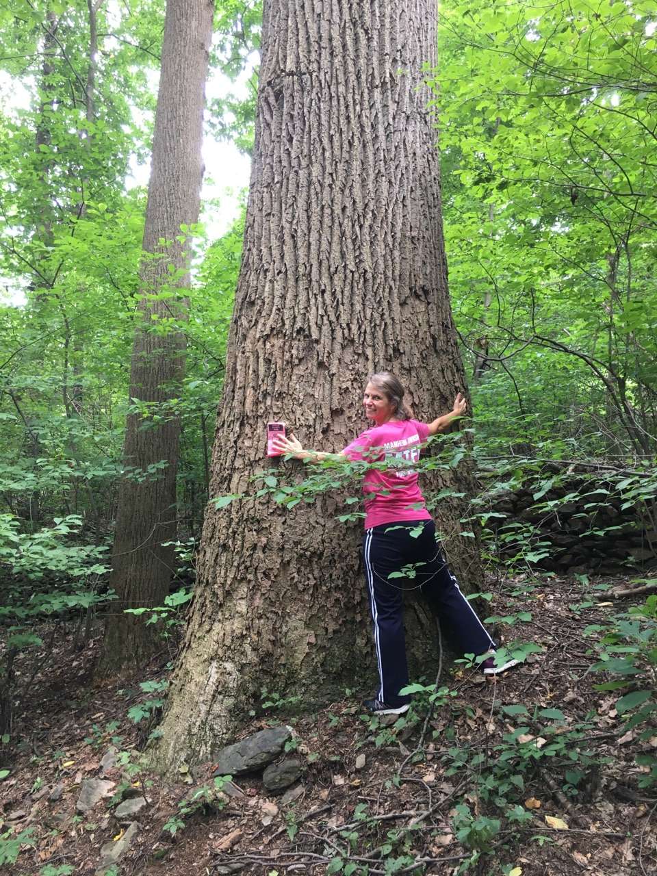 Apollo County Park, Brogue, PA in 4925 Boyd Rd, Brogue, PA 17309, USA