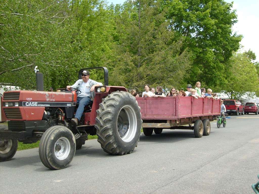 Mountain Springs Camping Resort | 3450 Mountain Rd, Hamburg, PA 19526 | Phone: (610) 488-6859