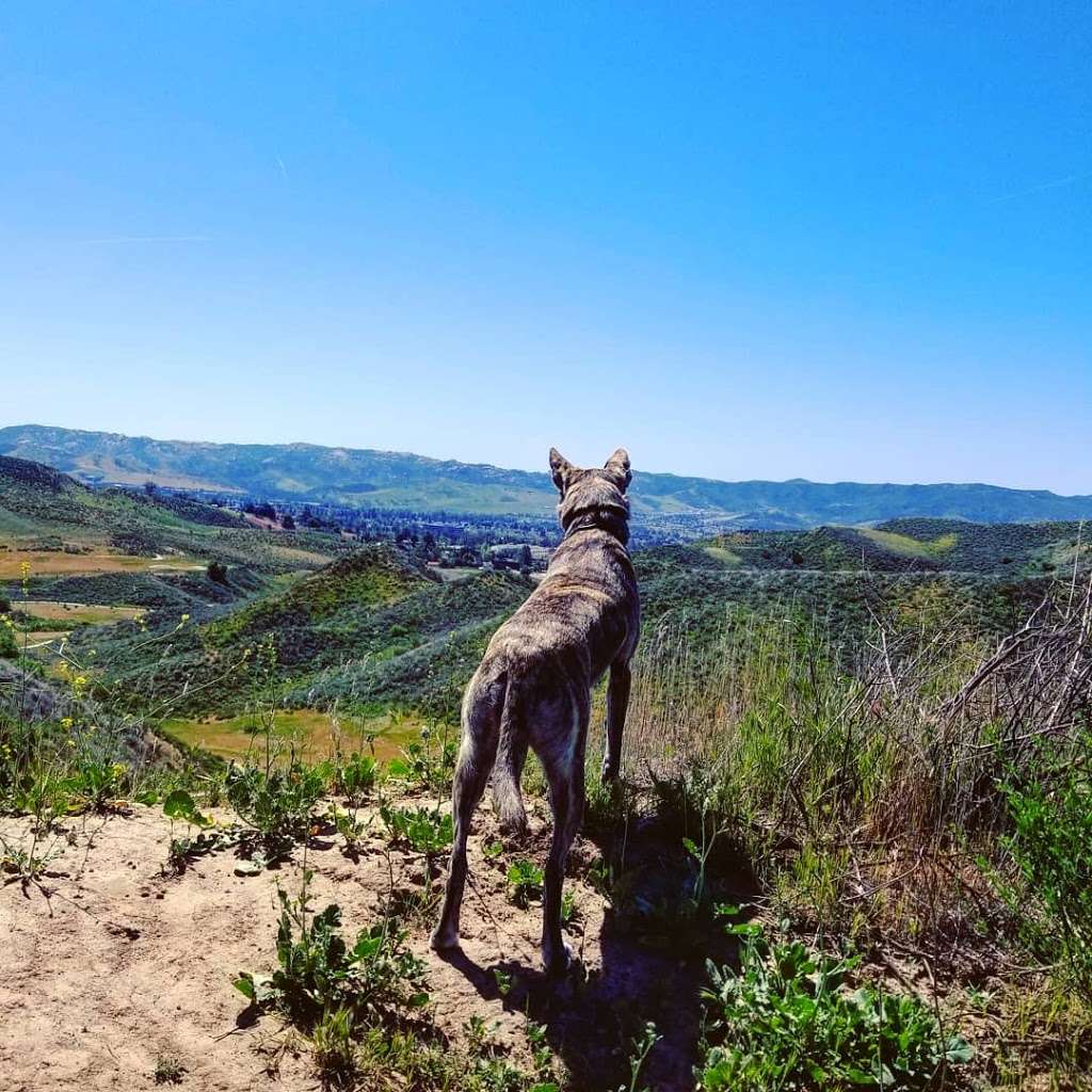 Abandoned golf course trail | Simi Valley, CA 93065, USA