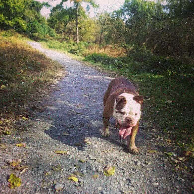 Conestoga Greenway Trail | Conestoga Greenway Trail, Lancaster, PA 17602, USA