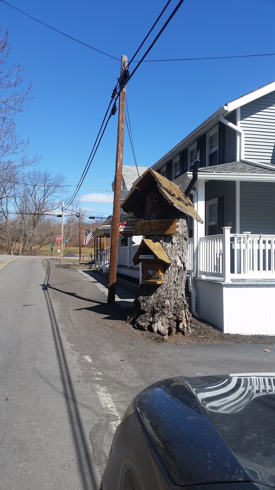 The Little Free Library of Swoyersville | Swoyersville, PA 18704, USA