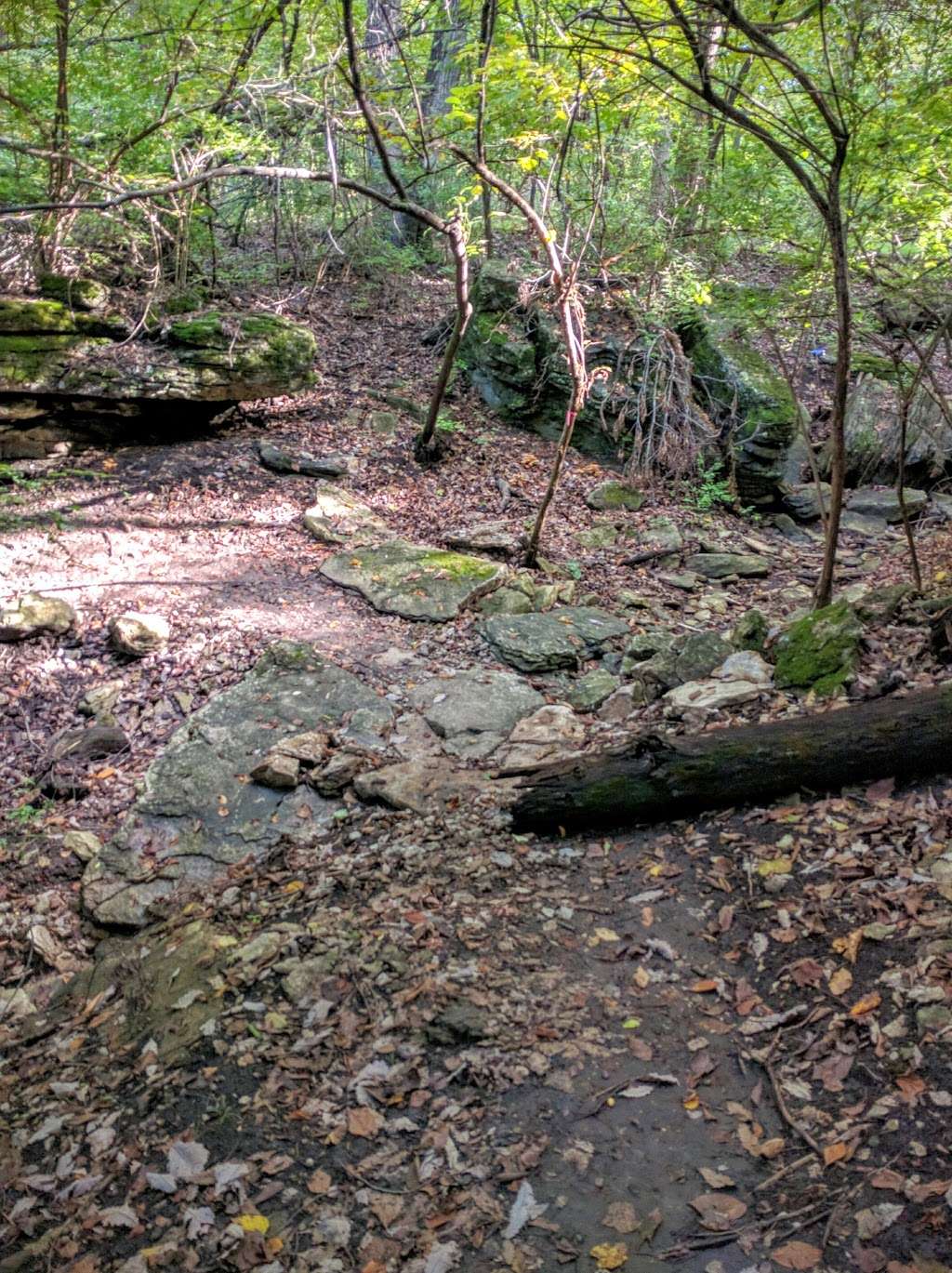 Swope Park Mountain Bike Trailhead | 6001 Oakwood Dr, Kansas City, MO 64132, USA