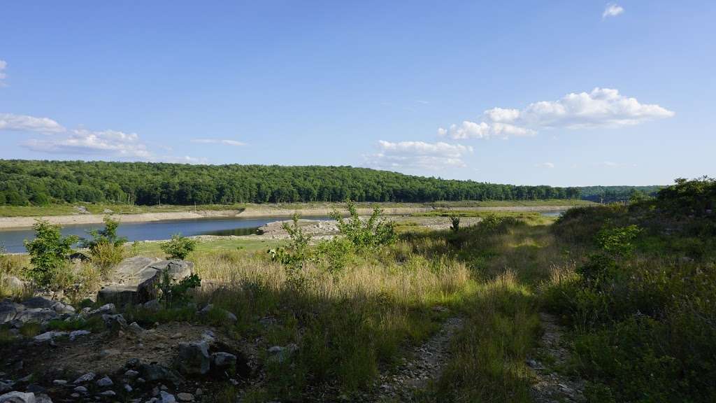 Natural Lands Trusts Bear Creek Preserve | 47 Rabbit Run Ln, Bear Creek Village, PA 18702, USA | Phone: (570) 647-9175