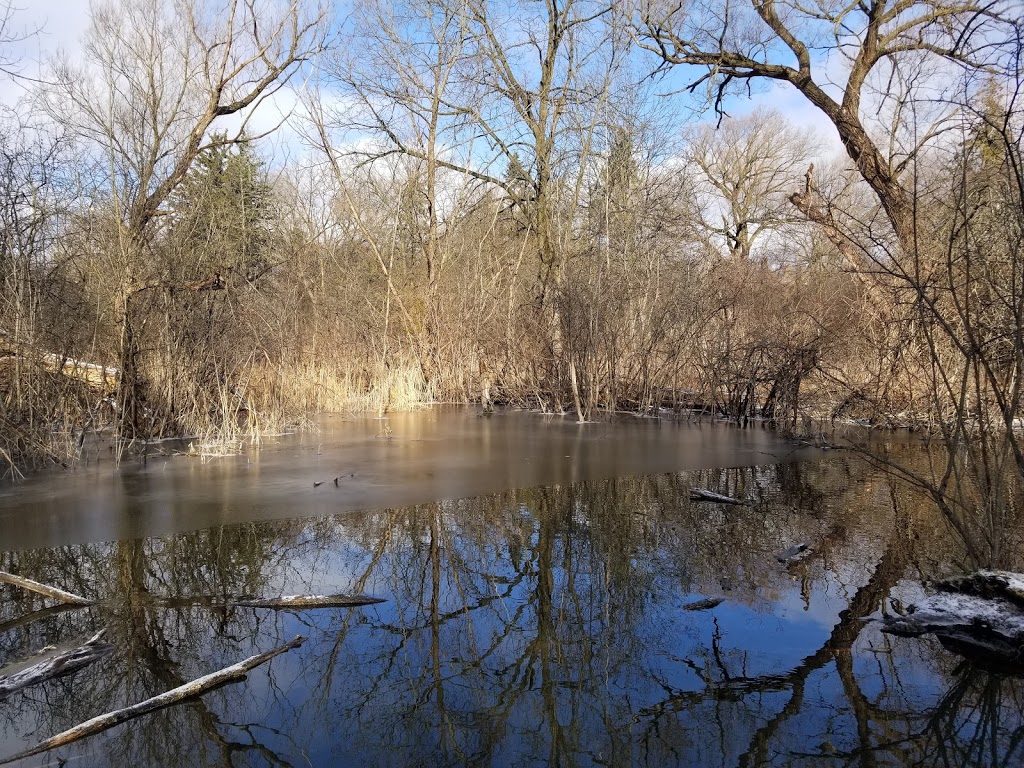 Johnson Nature Center | 3325 Franklin Rd, Bloomfield Twp, MI 48302, USA | Phone: (248) 341-6485