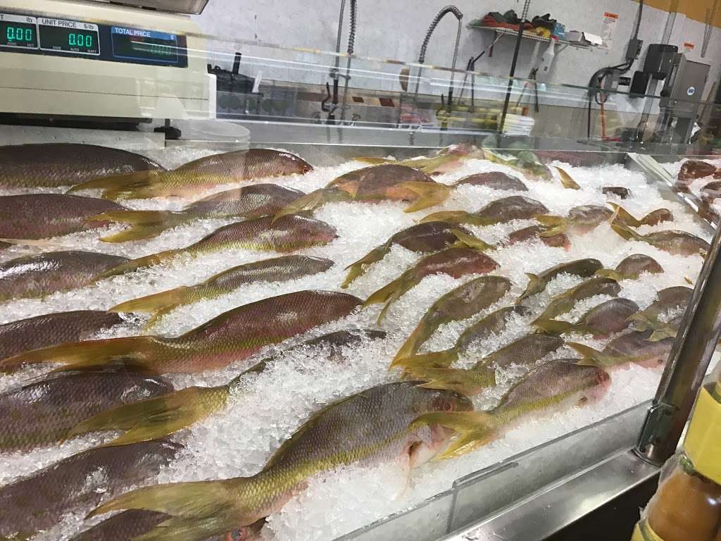 Atlantic Fish Market | 1729 West Oak Ridge Road, Orlando, FL 32809 | Phone: (407) 251-4285