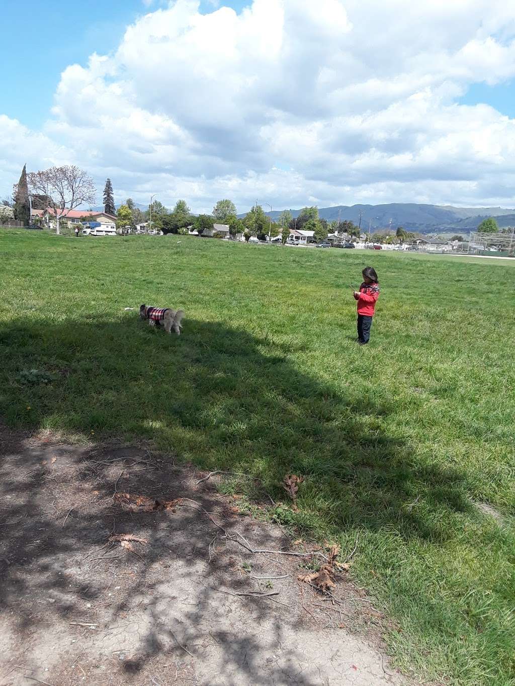 Hillview Park | 2255 Ocala Ave, San Jose, CA 95122, USA | Phone: (408) 793-5510