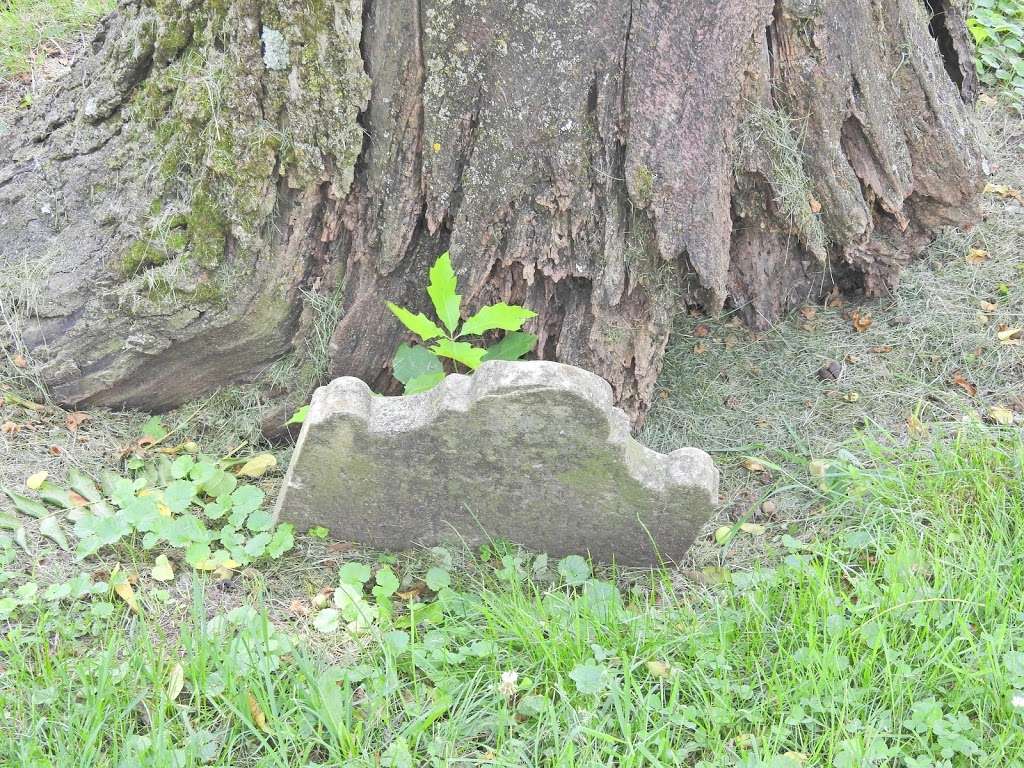 Christchurch cemetery | 1303_9_29, Allentown, NJ 08501, USA