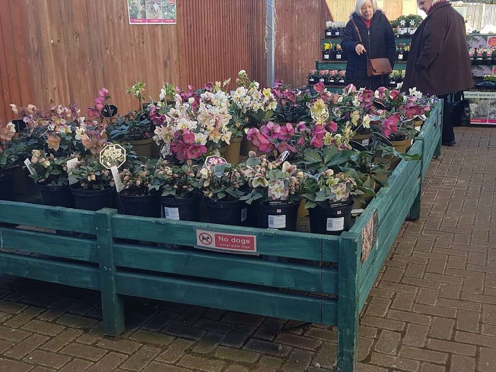 Broadview Gardens & Garden Centre | Hadlow College, Tonbridge Road, Hadlow TN11 0AL, UK | Phone: 01732 853211