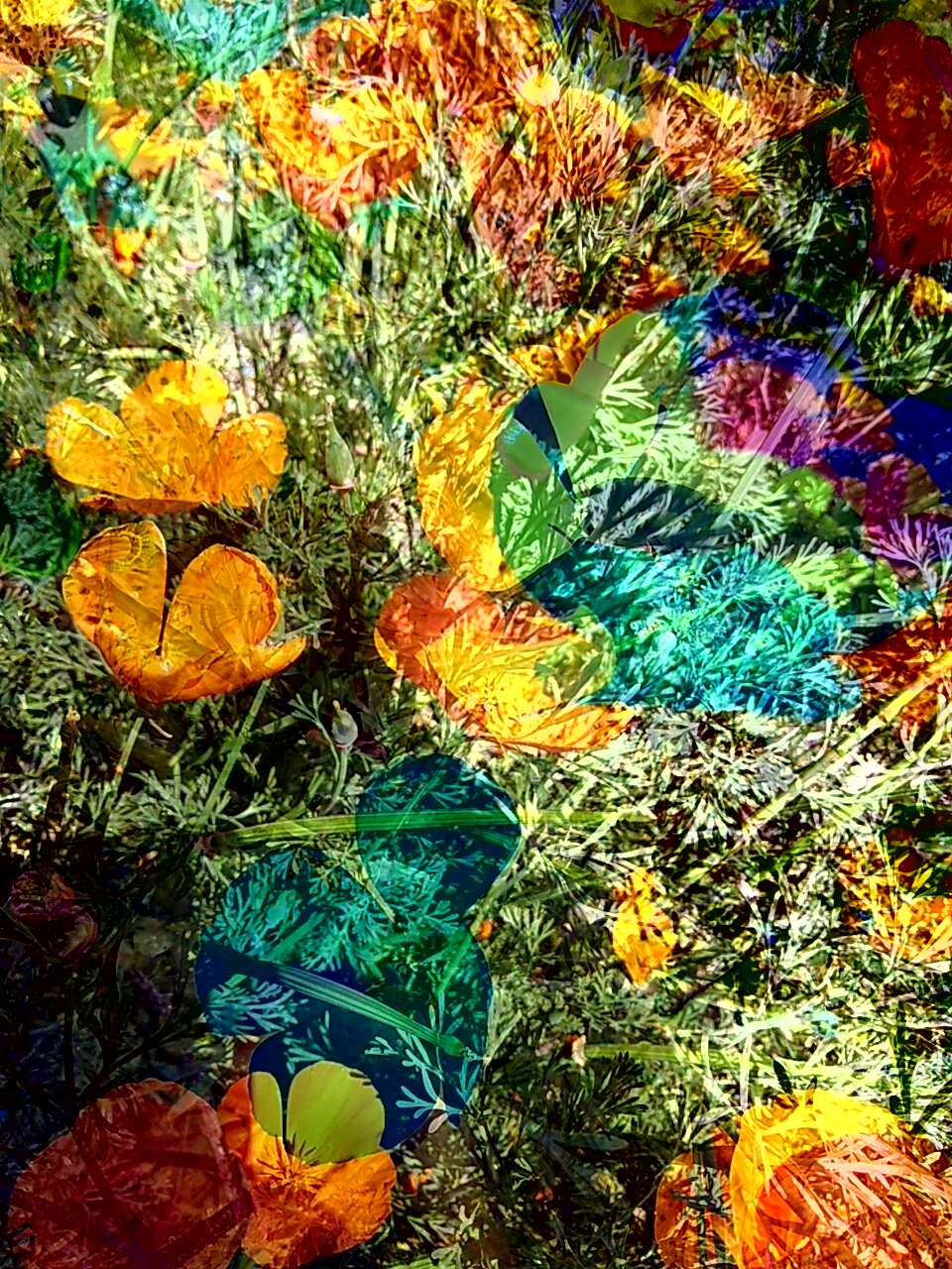 Krueger Gallery | 515 Madre St, Pasadena, CA 91107, USA | Phone: (626) 793-5724 Krueger Gallery | 515 Madre St, Pasadena, CA 91107, USA | Phone: (626) 793-5724