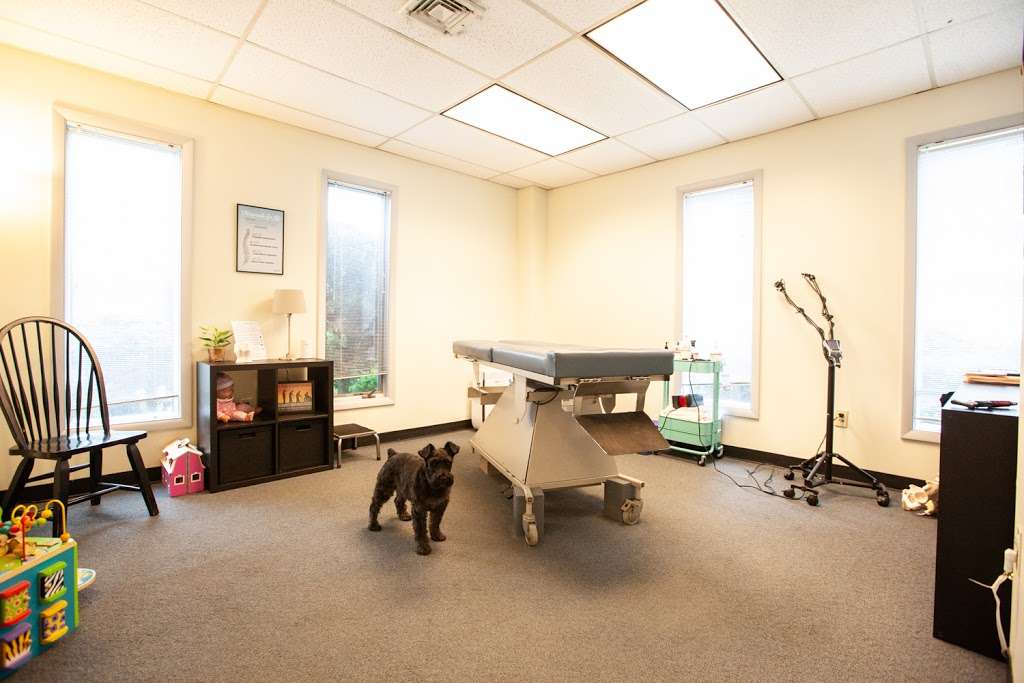 The Treatment Room | 5 Hillandale Ave, Stamford, CT 06902, USA | Phone: (203) 344-5202