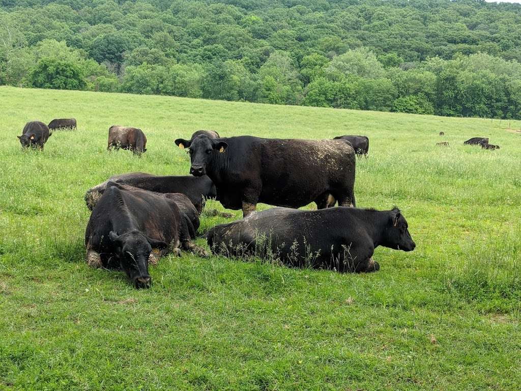 Monocacy National Battlefield | 5201 Urbana Pike, Frederick, MD 21704, USA | Phone: (301) 662-3515