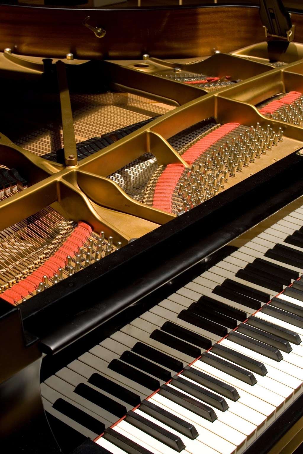 Bangerts Piano Services | 186 Lowes Way, Lake Shore, MD 21122, USA | Phone: (410) 255-2550