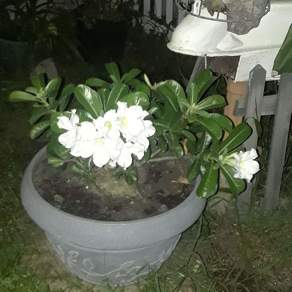 Southernaire | 1700 Sanford Rd, Mt Dora, FL 32757, USA | Phone: (888) 533-6157